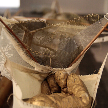 Within the "Domus Aurea" project.