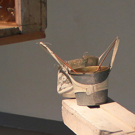 Within the "Domus Aurea" project.